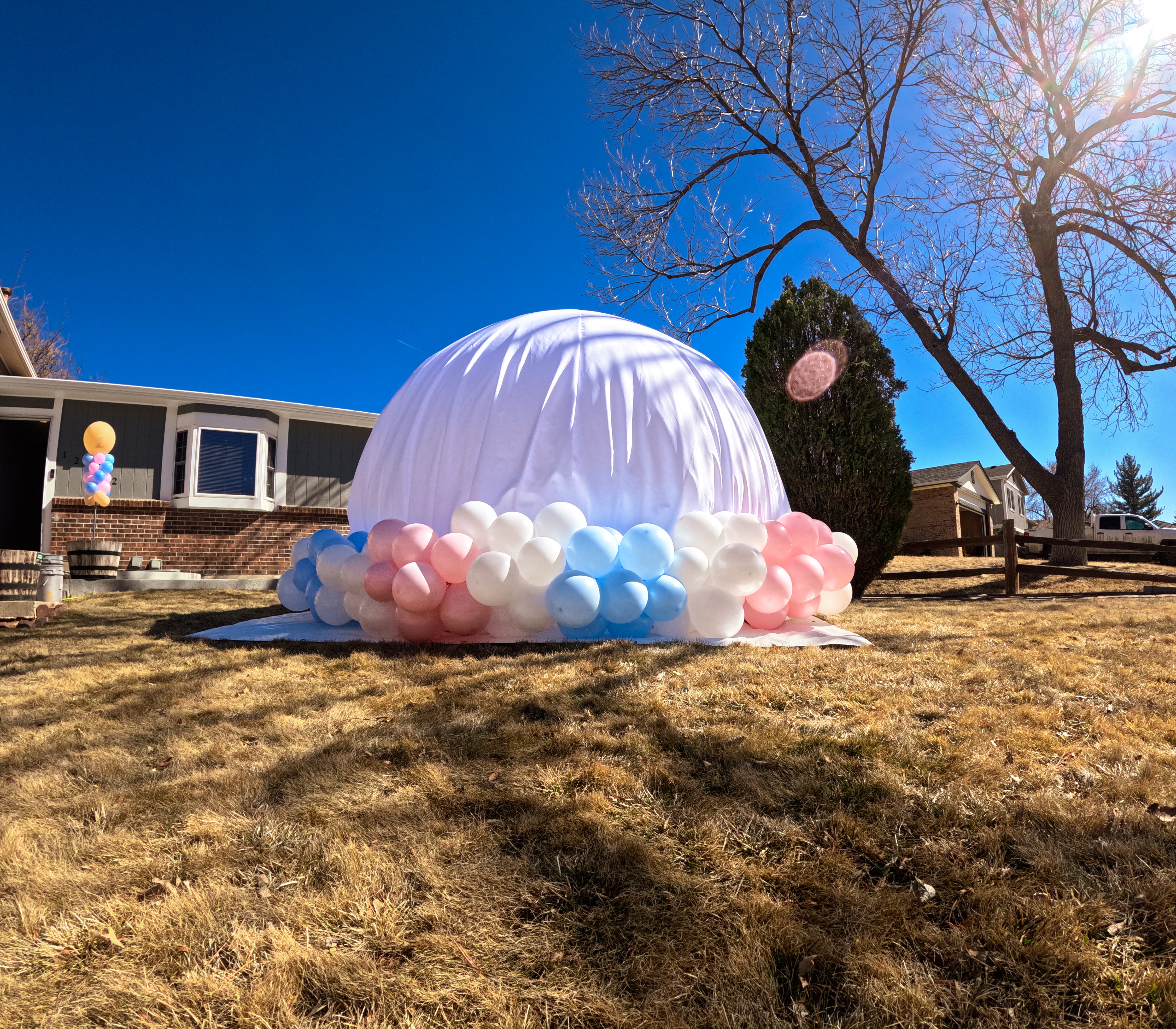 Chuchi's Events gender reveal setup featuring our exclusive bubble house, beautifully decorated with blue and pink balloons for the big reveal. Perfect for outdoor celebrations in Denver, this bubble house creates a stylish and fun atmosphere for both kids and adults. The clear design allows for a unique gender reveal experience while offering a stunning party centerpiece.